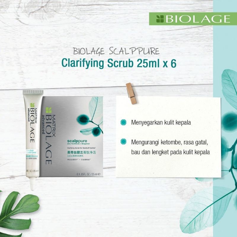 Matrix Biolage SCALPpure