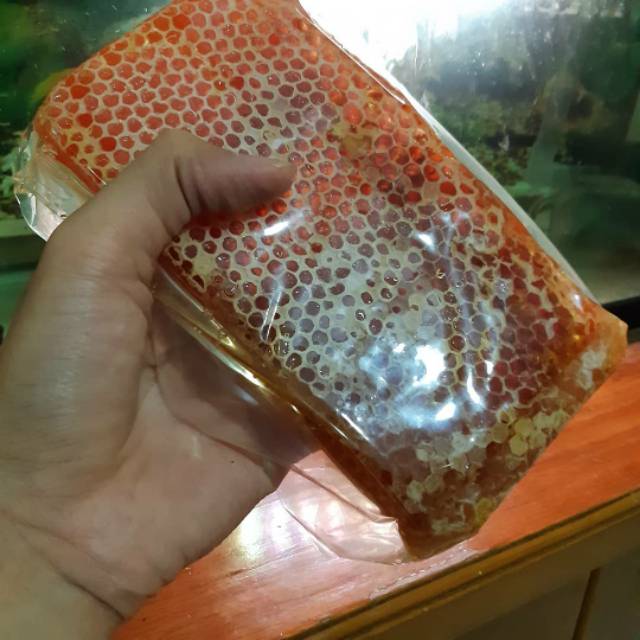 

MADU SARANG MADU MURNI