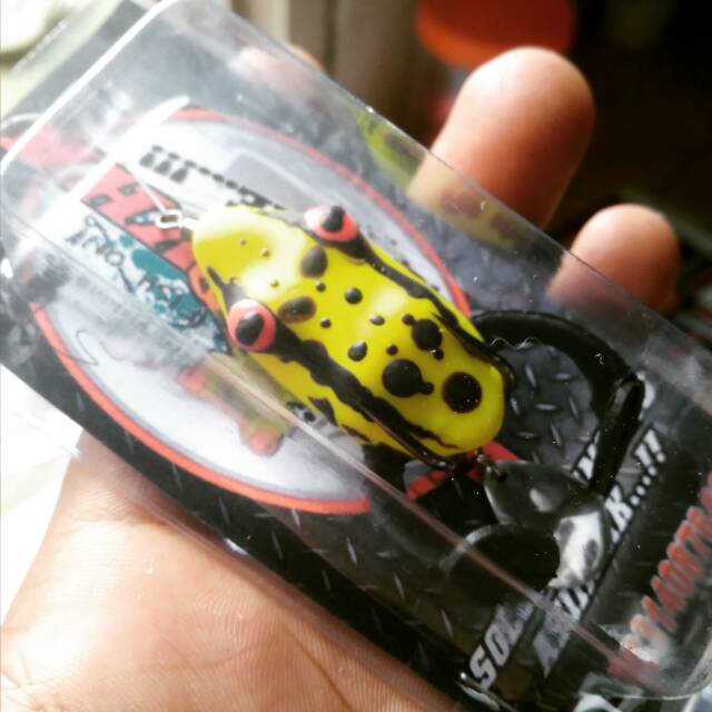 

Softfrog kaki