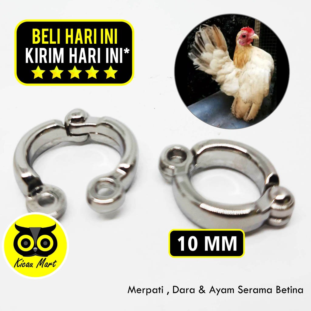 RING KAKI BURUNG STAINLESS STEEL IMPORT 10 MM RING GELANG KAKI BURUNG AYAM SERAMA BETINA RCS10M