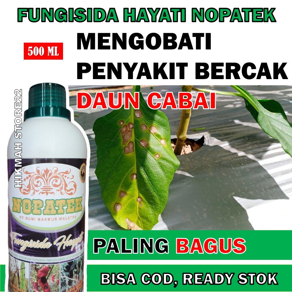 Jual NOPATEK FUNGISIDA Mengobati Bercak Daun Dan Busuk Daun Cabe/Cabai