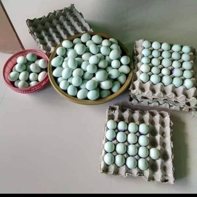 

Telur asin cirebon original khas cirebon