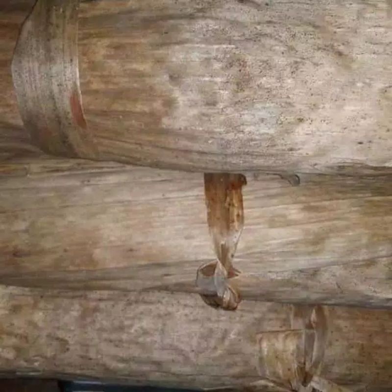 Daun pisang kering untuk kultur infusoria, kultur jangkrik pakan jangkrik klaras per 1 kg