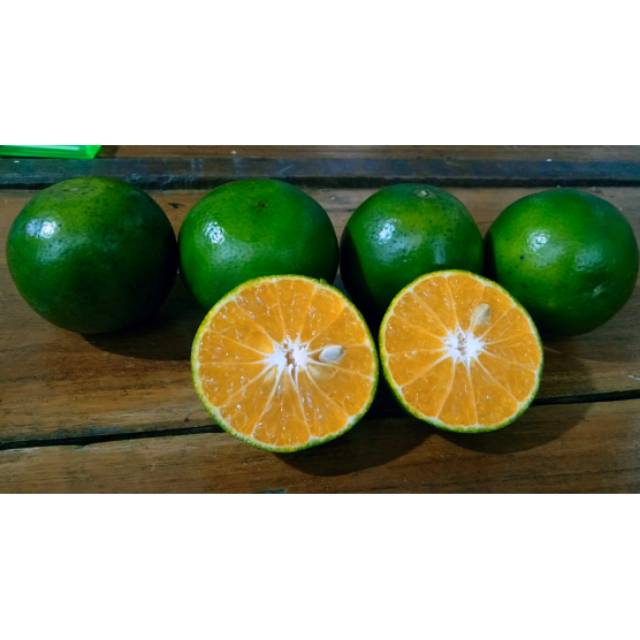 

Jeruk Peras langsung dari pohon