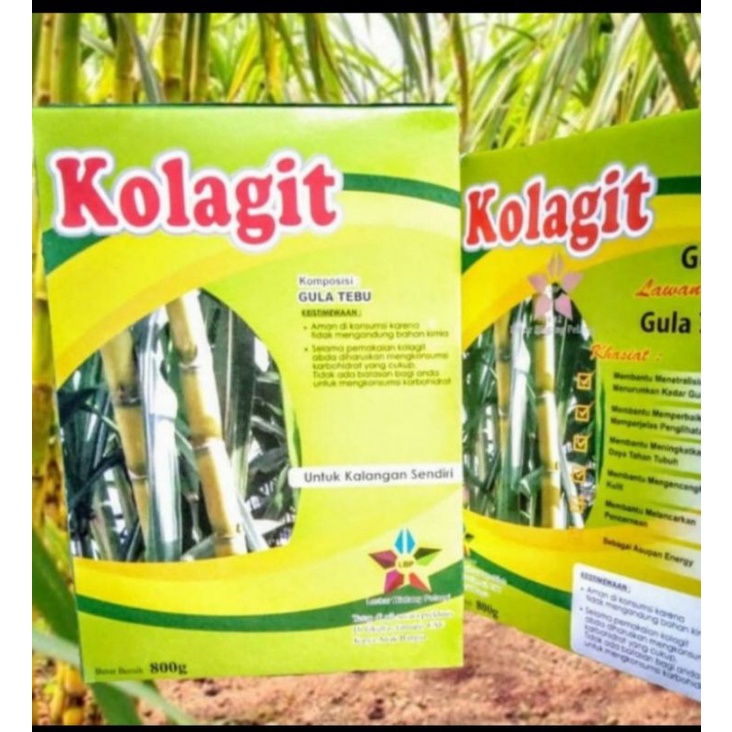 Kolagit Racikan Asli obat diabetes