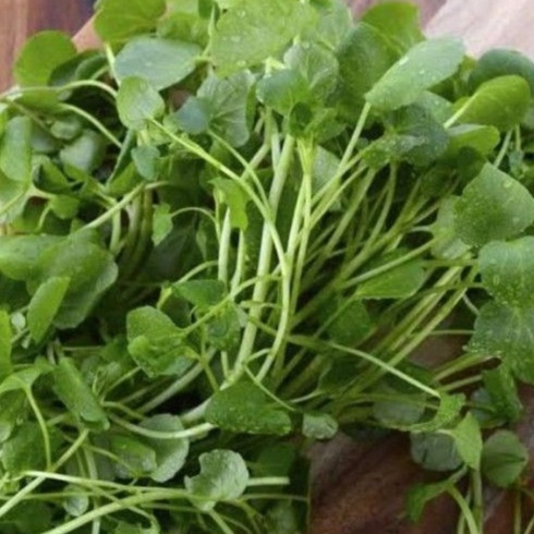

Selada Air 500gr / Sayur Selada Air