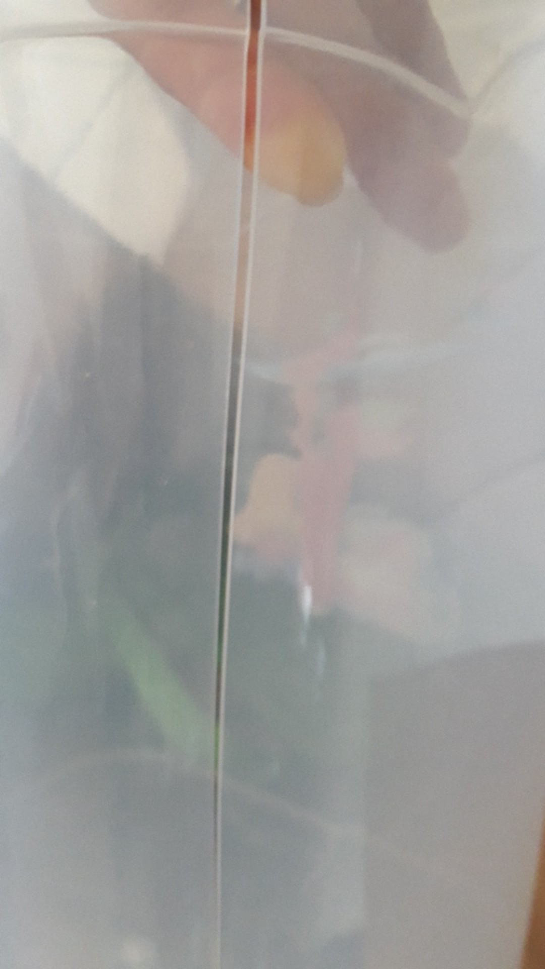 Aquarium Abela 30 Liter / Toples Es Buah 30 Liter