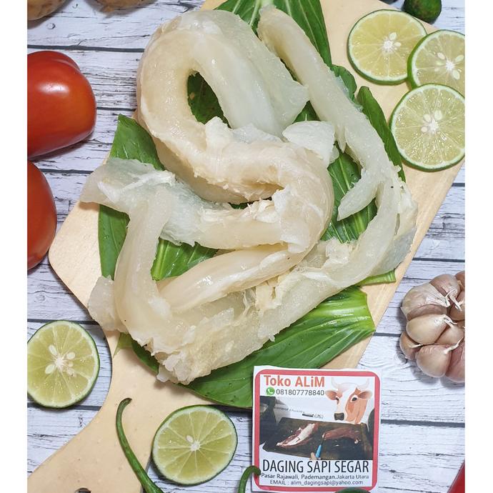 

BAYAR COD URAT SAPI SEGAR - FRESH BEEF TENDON