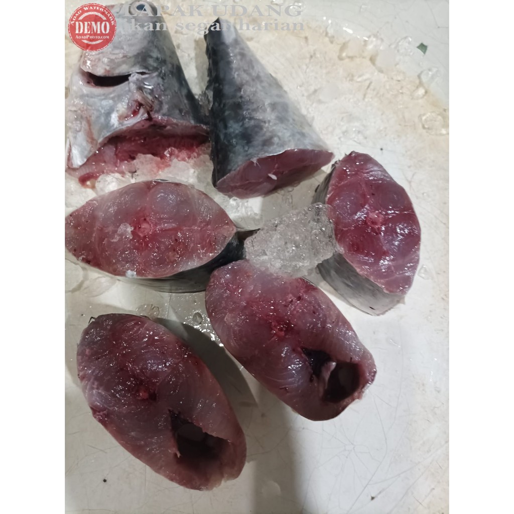 

Ikan Tengiri Potong FRESH ikan Harian GARANSI SEGAR/Pack 6 Potong