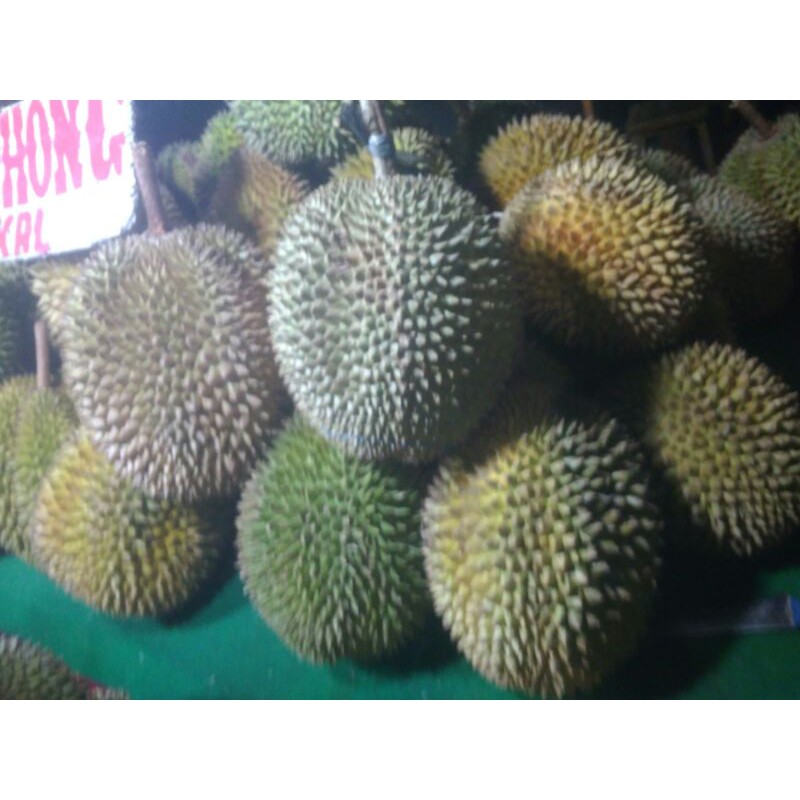 

Durian Utuh VIP Jakarta