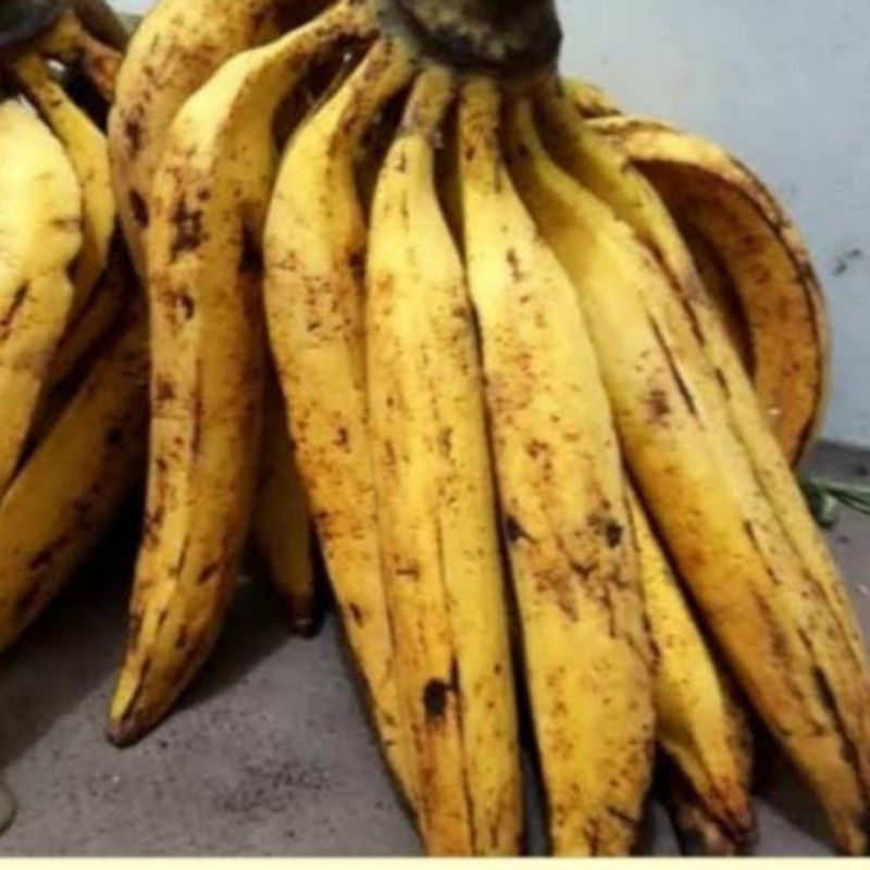 

Pisang Tanduk Manis 1Kg Cocok Untuk Kolak SAYUR GEDEBADE PRAKTIS ONLINE BANDUNG