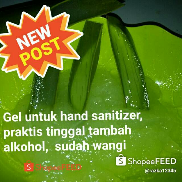 Aloe vera gel kiloan untuk hand sanitizer