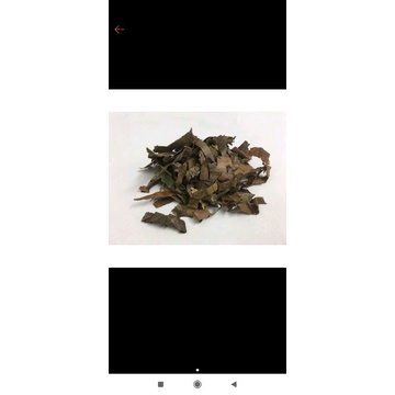 

300 G GR GRAM PI PA YE LOQUAT LEAF LEAVES FOLIUM ERIOBOTRYAE