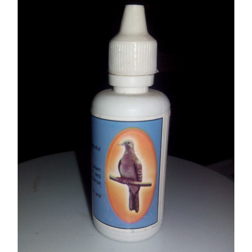 OBAT BURUNG PERKUTUT MANGGUNG