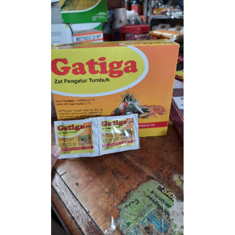 Gatiga