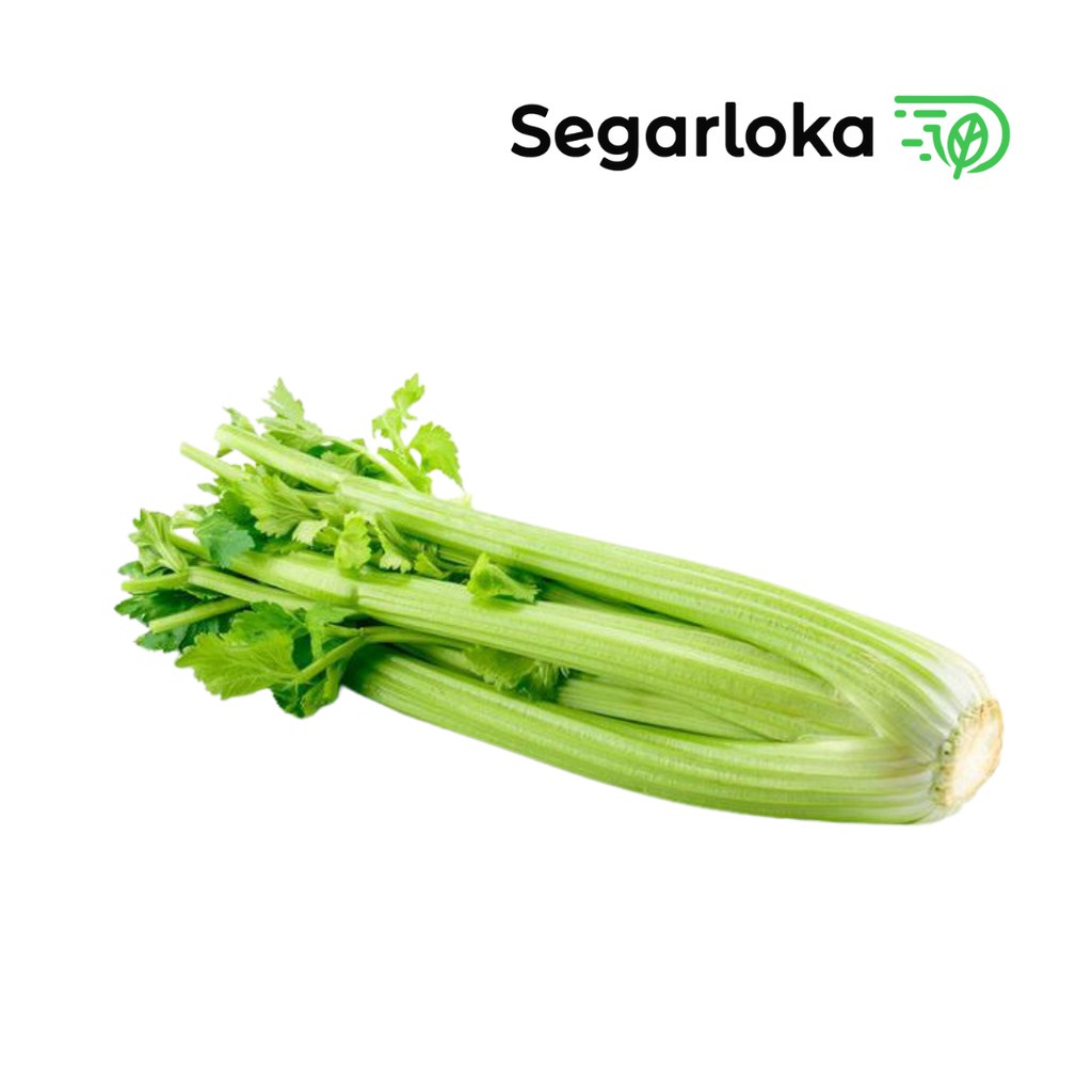

Seledri Stik Import - Seledri Batang FRESH 1 Kg