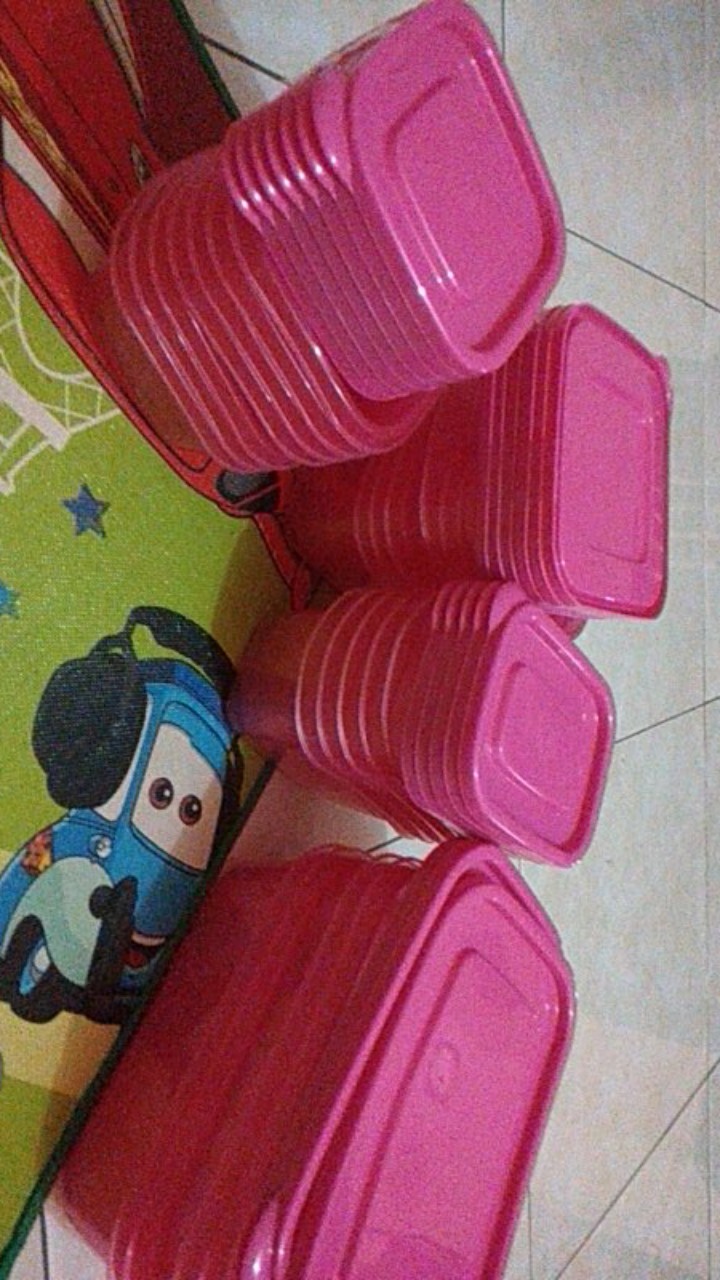 Bambang Dusdusan Food Container Warna Pink