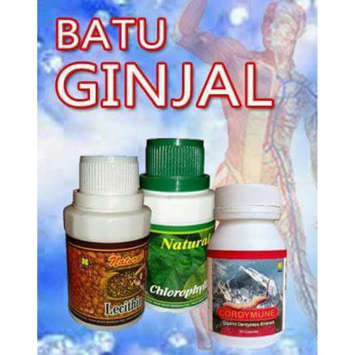 PAKET PENGOBATAN BATU GINJAL ORIGINAL NASA