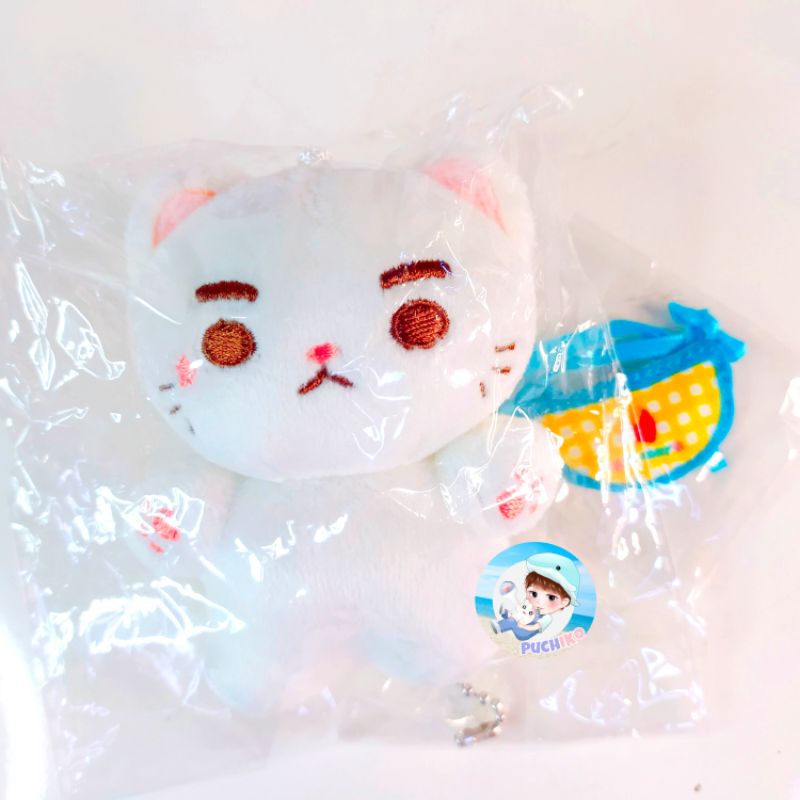 READY NCT doll taeyong cat