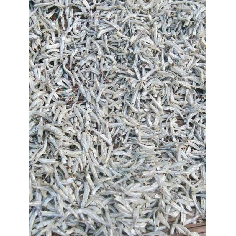 

IKAN ASIN TERI LAMPUNG