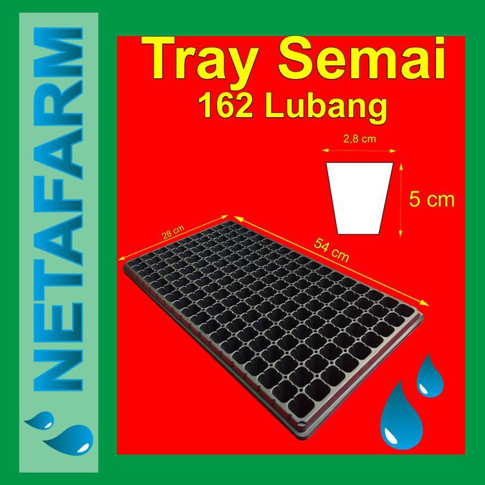 Tray Semai 162 Lubang Traypot Pot Bibit Hidroponik (Set 3pcs)
