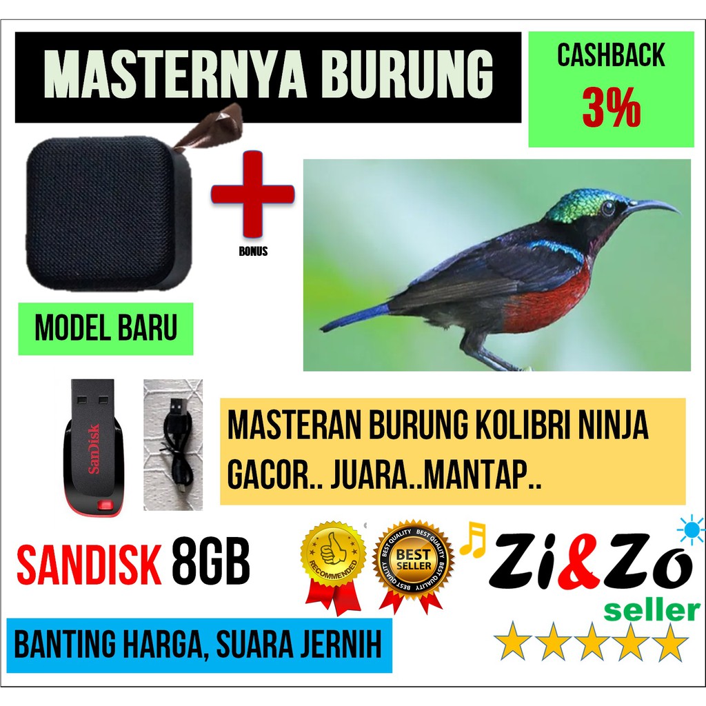 Masteran Burung Kolibri Ninja Terbaru