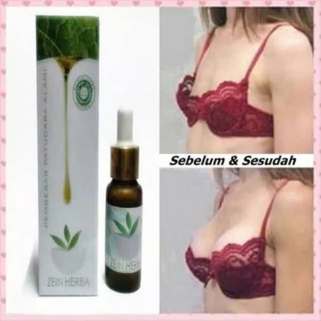 ZEIN HERBA SERUM PEMBESAR PAYUDARA HERBAL ALAMI TERCEPAT