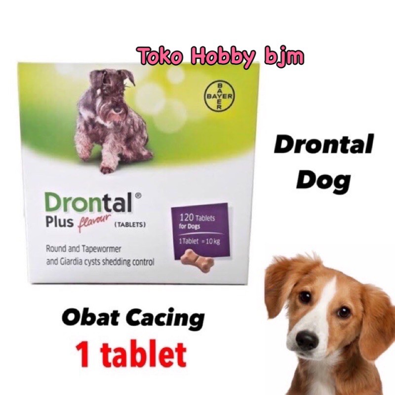 Drontal dog ORI 100% - obat cacing anjing cacingan puppy anakan dewasa dog hewan