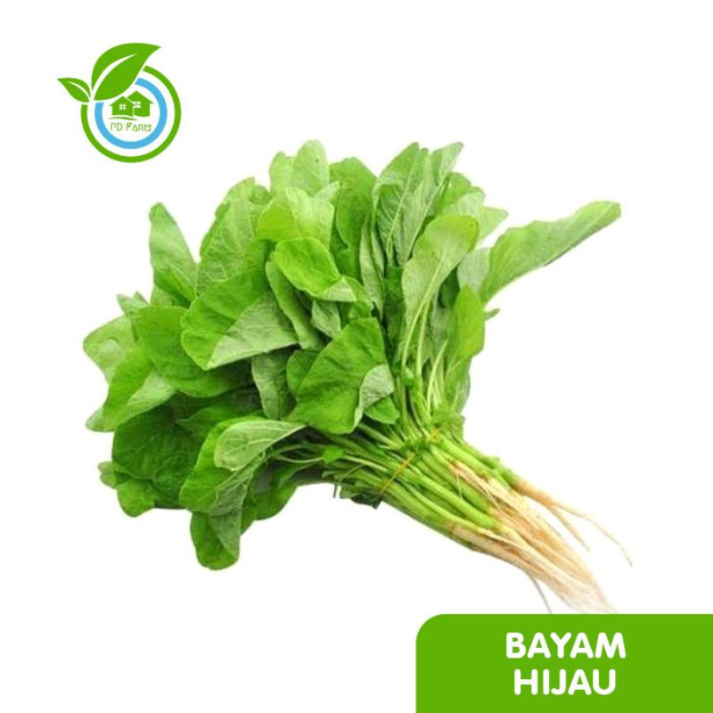 

Bayam Hijau (250gram) per ikat
