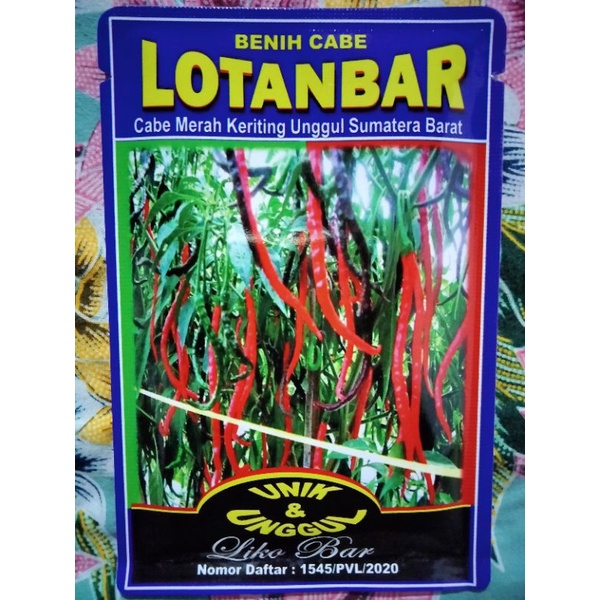 Cabe LOTANBAR 10 Gram- Bibit Cabe LOTANBAR - CMK LOTANBAR - Benih Cabe Merah Keriting LOTANBAR Lolay