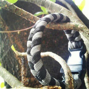 gelang paracord (parachute cord) black gray whistle buckle