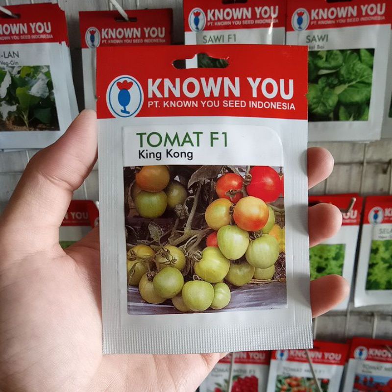 Benih Tomat Dataran Rendah King Kong F1
