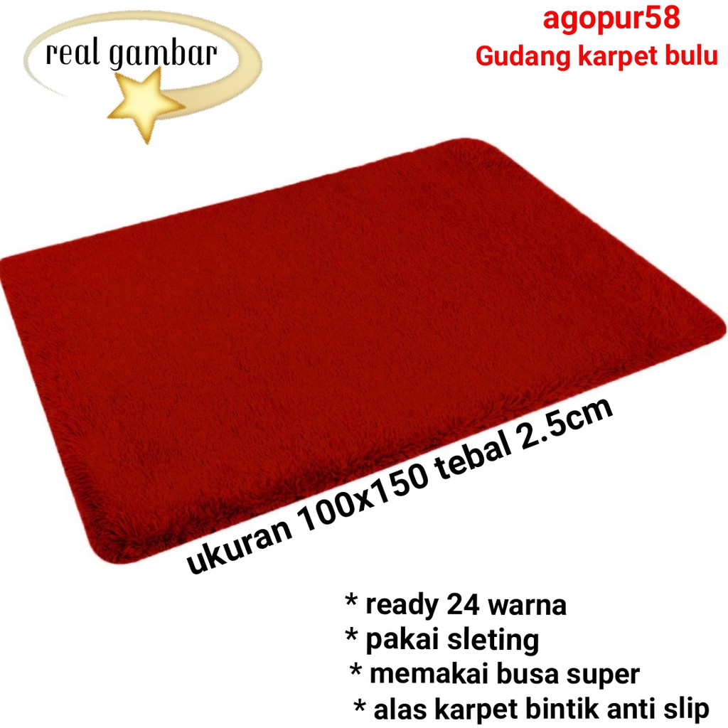  Karpet  bulu  100x150 tebal 2 5cm Shopee  Indonesia