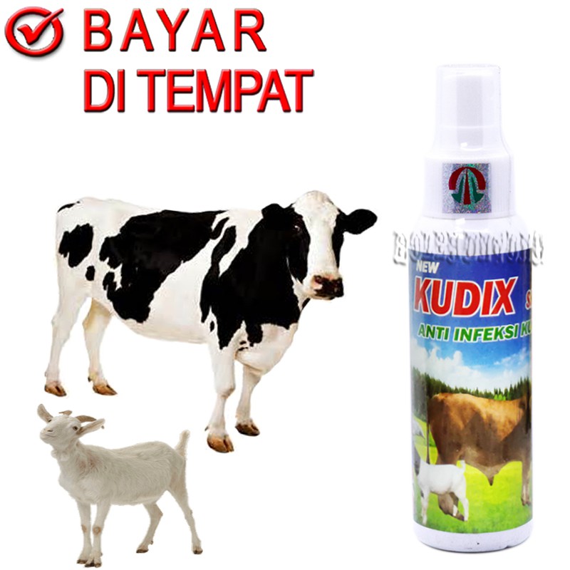 KUDIX SPREY OBAT KORENG SCABIES JAMUR SAPI KAMBING KERBAU