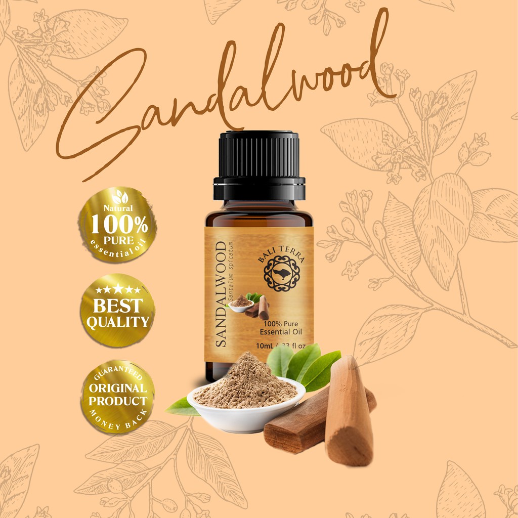 Sandalwood / Minyak Kayu Cendana Asli 100% Pure Essential Oil Bali Terra Natural Aromatherapy
