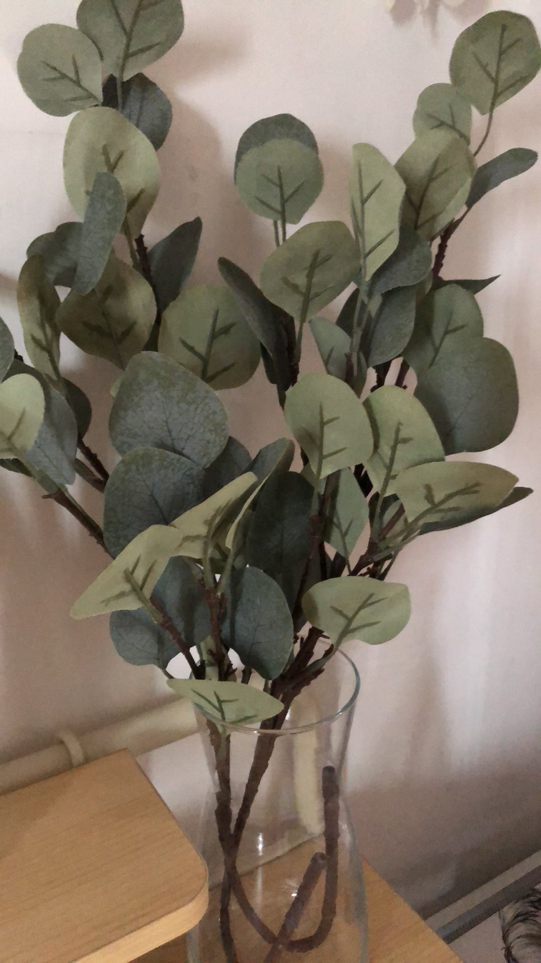 Euca. Eucalyptus Artificial
