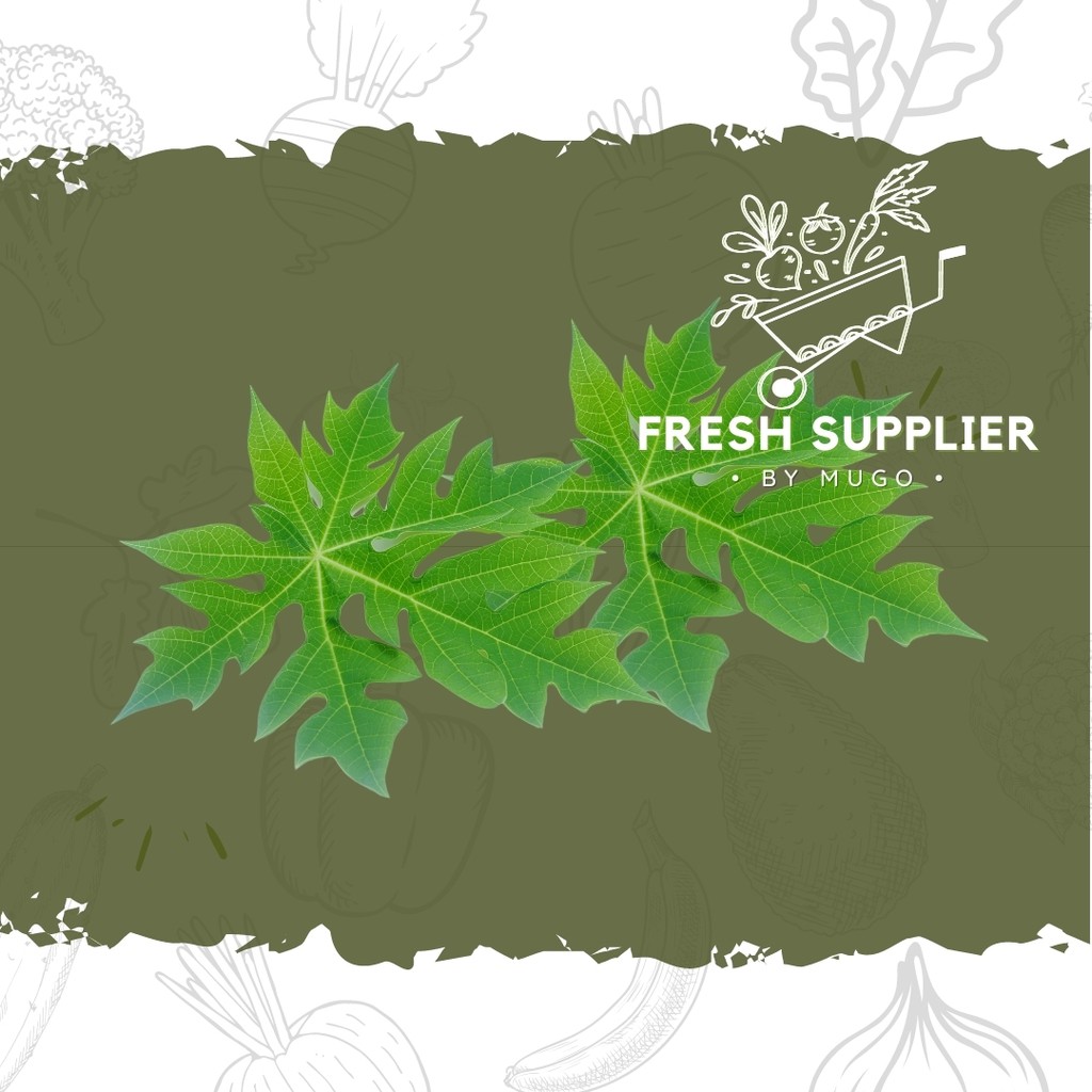 

Daun Pepaya 1 Ikat Fresh Supplier