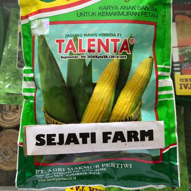 Benih Jagung Manis - TALENTA