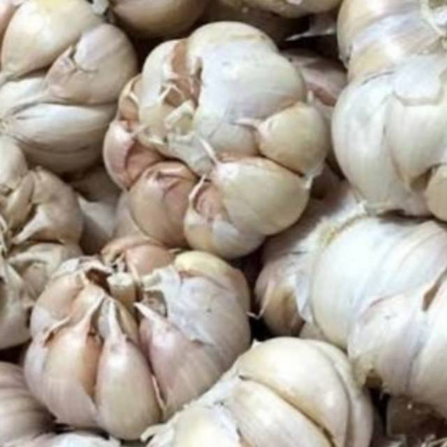 

Bawang putih 1000gr