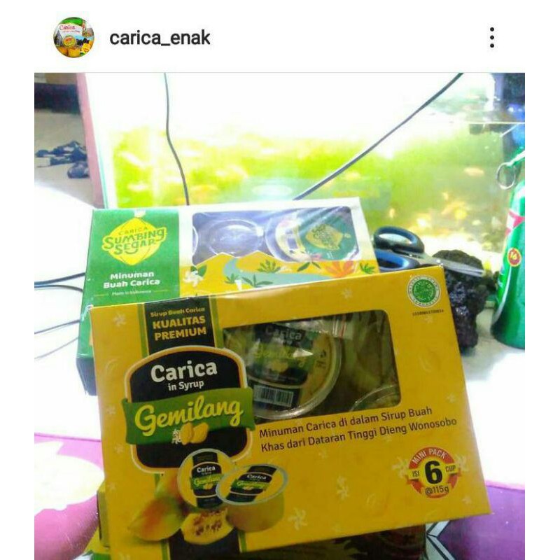 

Carica Khas Dieng Wonosobo