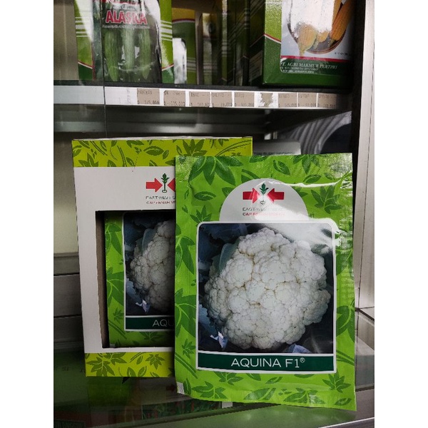 Benih Bibit Bunga Kembang Kol F1 Aquina 10gr Original Panah Merah