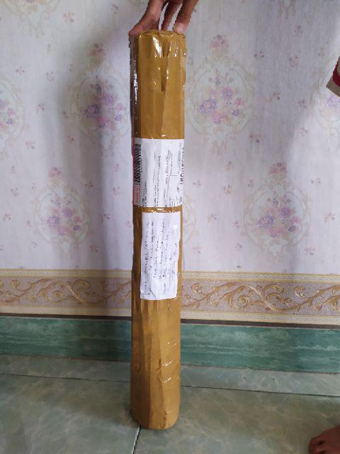 Bibit Anggur Brazil