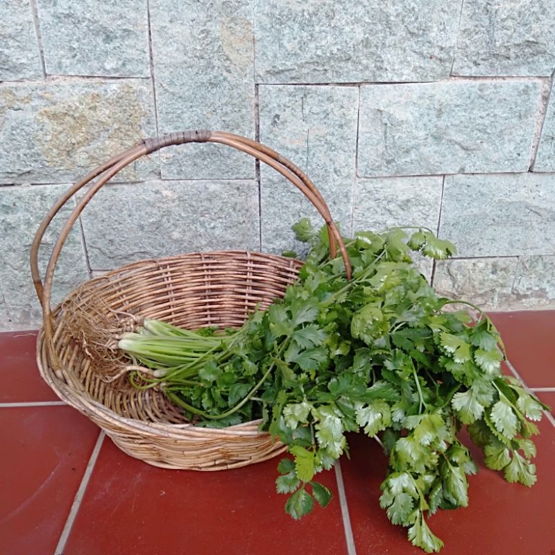 

Daun Ketumbar/Wansui/Corriander @500gr