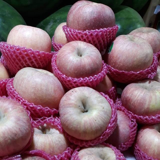 

Apel fuji per kilo