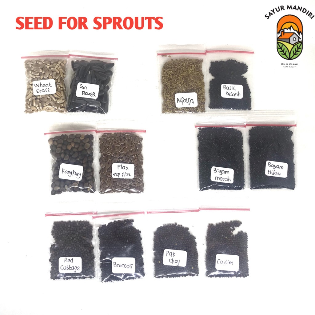 Paket Microgreen Hemat