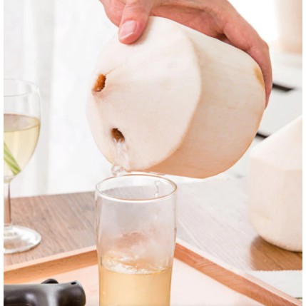 Alat pembolong buah kelapa praktis