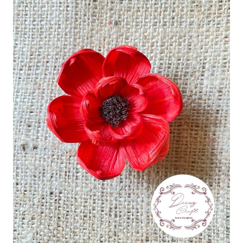 Bunga Klobot Matahari Merah