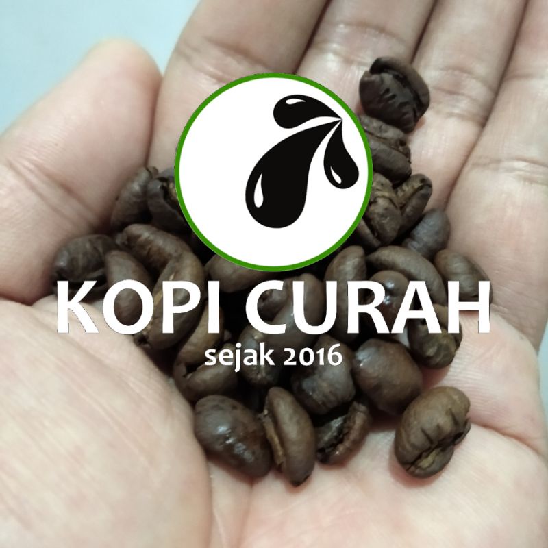 

Kopi Liberika Meranti / Single Origin Coffee dari Riau
