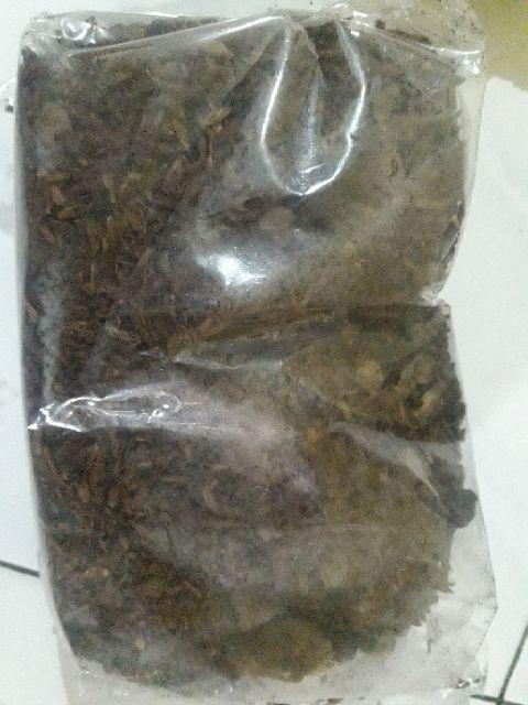 Media Tanam Kaktus/sukulen