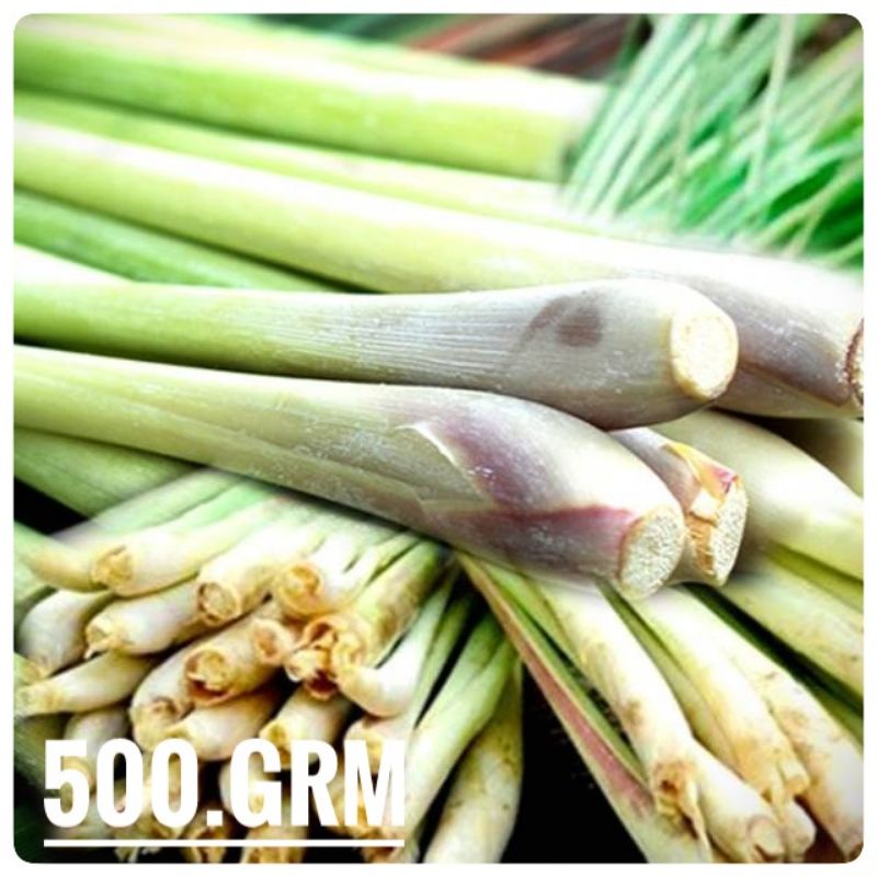 

500grm Serai Sayur / Serai Segar Fresh